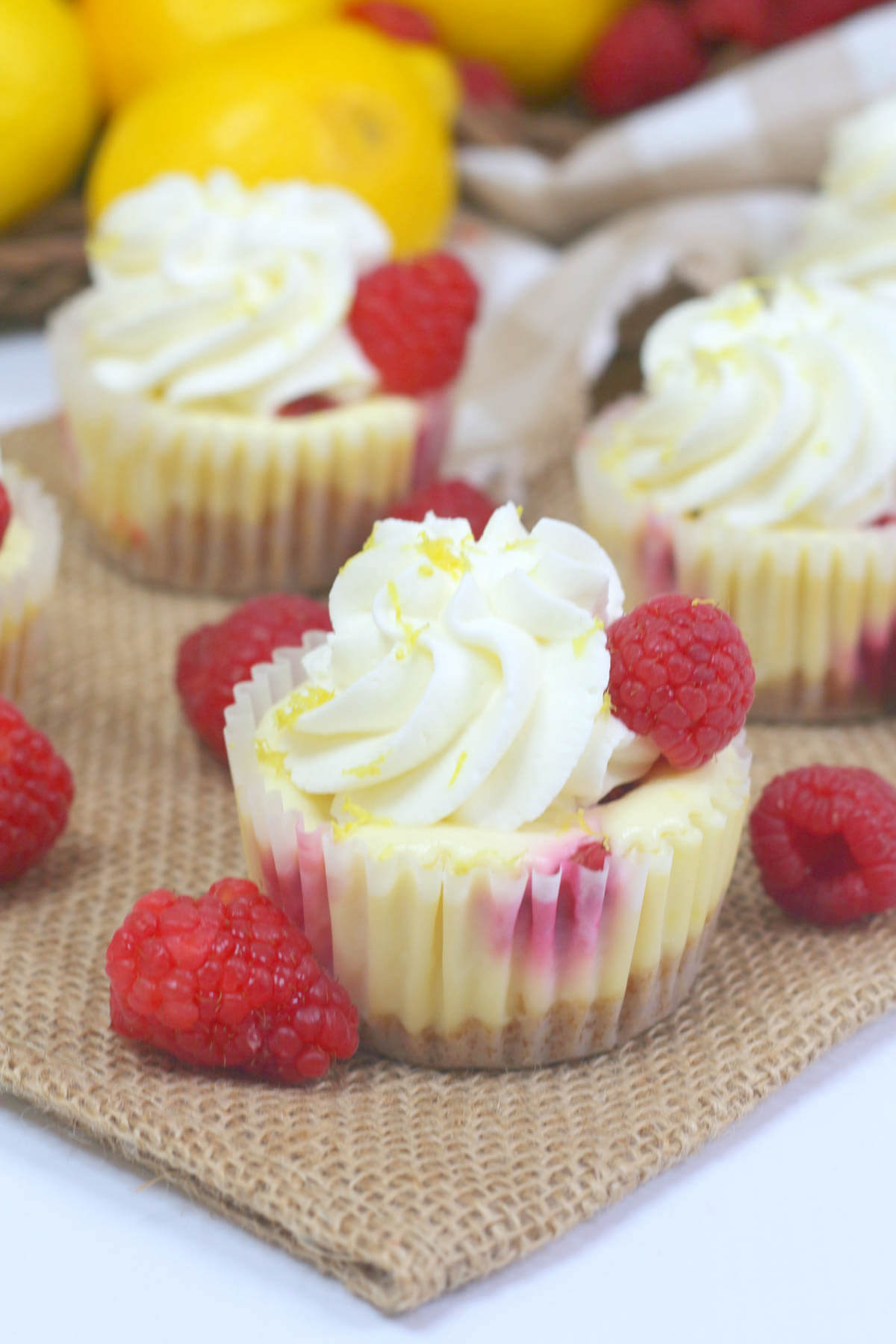 Mini lemon Raspberry Cheesecake