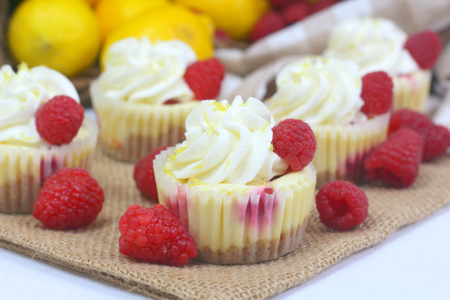 Mini lemon Raspberry Cheesecake