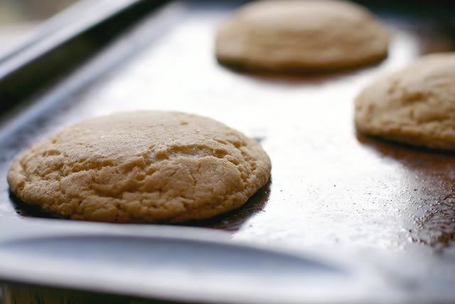 Brown Sugar Cookies with Maple Icing