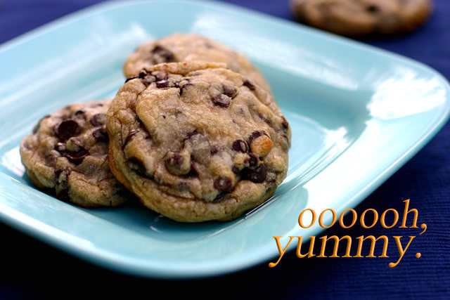 CHEWY CHOCOLATE CHIP COOKIES