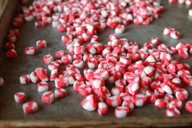 Handmade Candy Cane Altoids