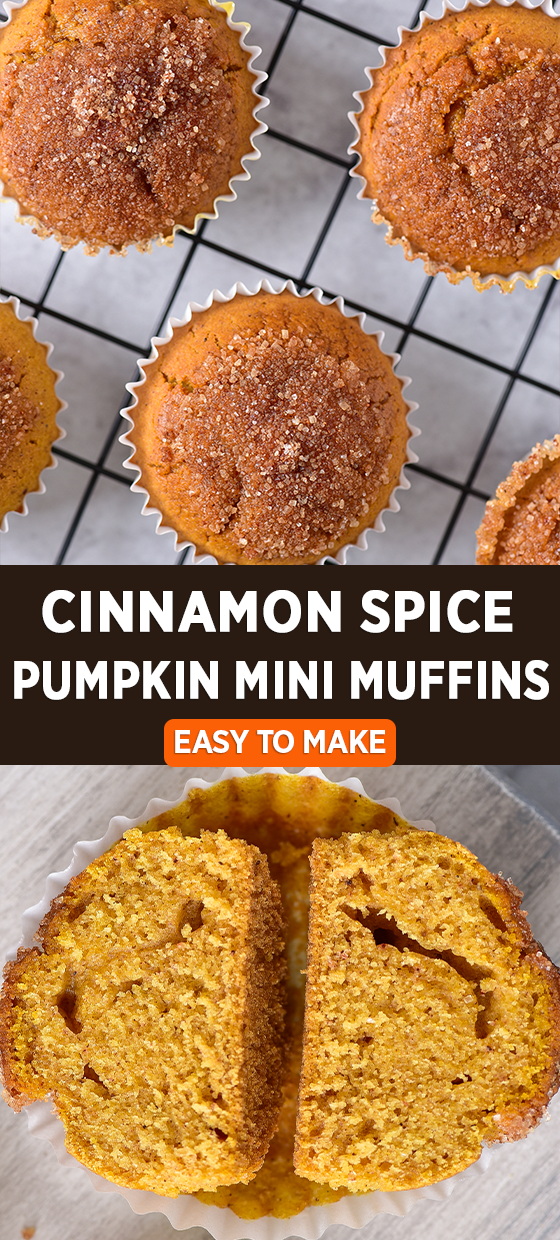 Cinnamon Spice Pumpkin Mini Muffins on Pinterest