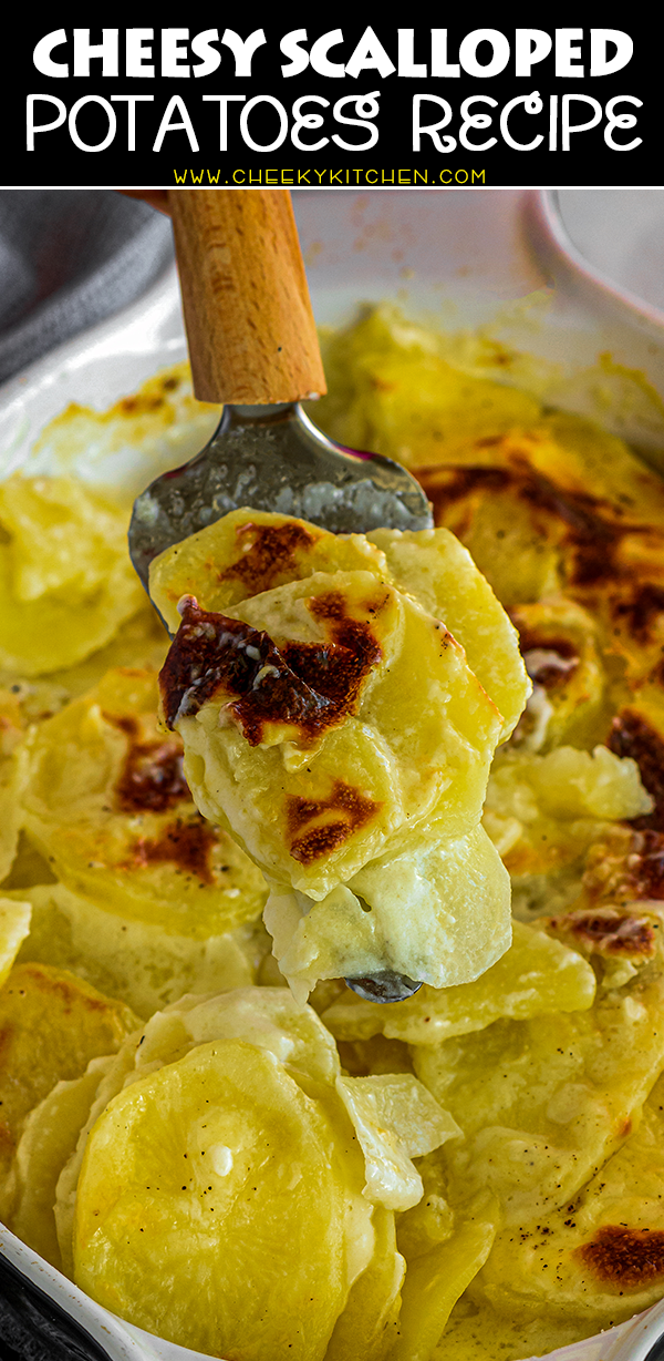 cheesy scalloped potatoes pinterest