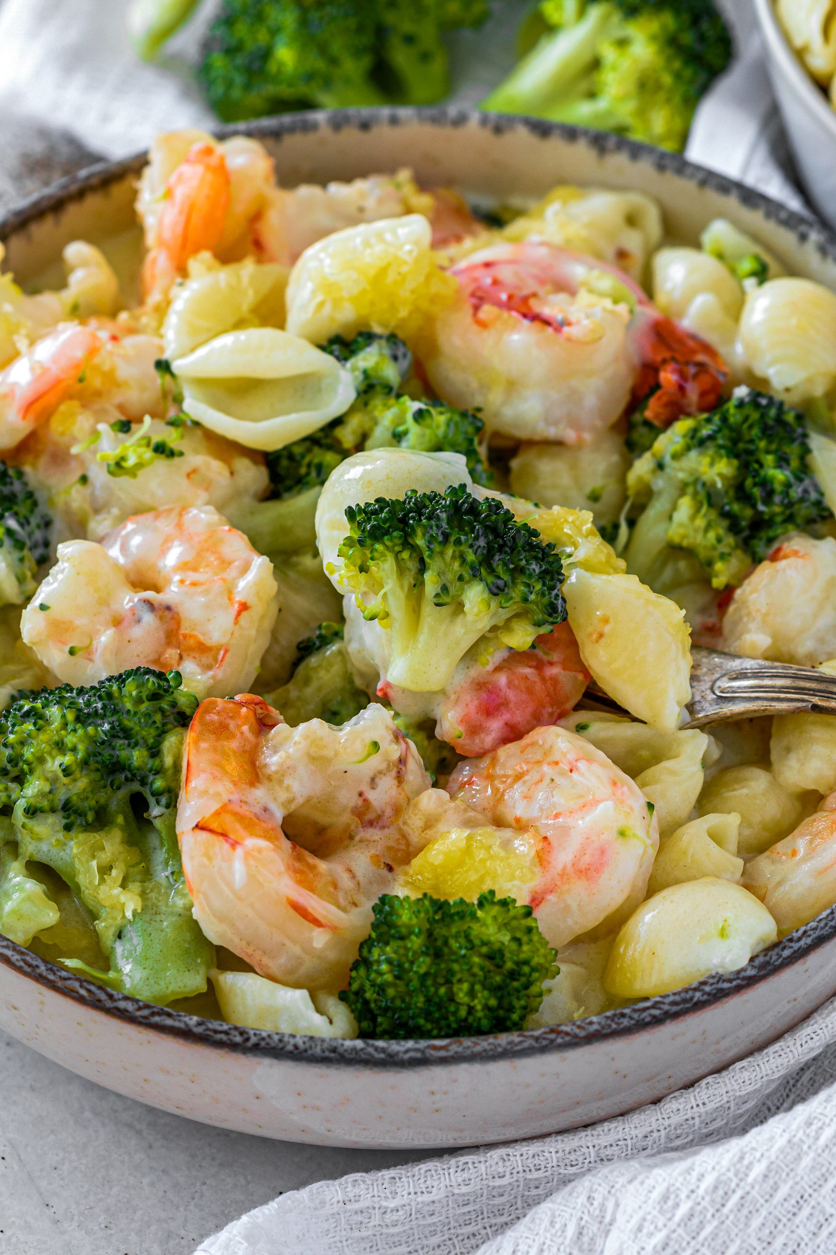 Broccoli and Shrimp Alfredo CheekyKitchen